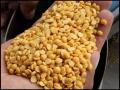 साठ्याच्या मर्यादेमुळे तूर व डाळीचे दर उतरले - Marathi News | The prices of tur and dal fell due to the stock limit | Latest nagpur News at Lokmat.com