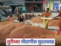Tur Procurement: तुरीच्या नाफेड नोंदणीसाठी आता 'ही' आहे डेडलाइन वाचा सविस्तर - Marathi News | Tur Procurement: Now the deadline for Turi's NAFED registration is 'here', read in detail | Latest agriculture News at Lokmat.com