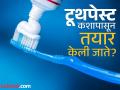 ज्या टूथपेस्टचा रोज वापर करता, त्यात काय काय टाकलं जातं? तुम्हालाही नसेल माहीत... - Marathi News | What are the things used in toothpaste you should know | Latest jarahatke Photos at Lokmat.com