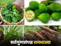 Ranbhajya : पावसाळ्यात येणाऱ्या सर्वगुणसंपन्न सात रानभाज्या कोणत्या? जाणून घ्या सविस्तर - Marathi News | Ranbhajya : What are the seven all-purpose wild vegetables that come during the monsoon? Find out in detail | Latest agriculture News at Lokmat.com