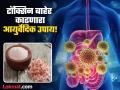 प्रत्येक पदार्थातून पोटात जातं टॉक्सिन नावाचं विष, बचावासाठी डॉक्टरांनी सांगितला उपाय! - Marathi News | Ayurveda doctor tells these foods to clean body from inside and remove-toxins | Latest food News at Lokmat.com