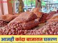 Kanda Market Update : राज्यात कांदा बाजारभावात घसरण सुरूच, वाचा आजचे बाजारभाव - Marathi News | Latest News Kanda Market Update Onion market prices continue to fall see solapur and lasalgaon kanda market | Latest agriculture News at Lokmat.com