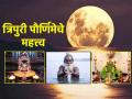 Kartik Purnima 2023: कार्तिक अर्थात त्रिपुरी पौर्णिमेला होणार तुळशी विवाह आणि कार्तिक स्नान समाप्ती! - Marathi News | Kartik Purnima 2023: Tulsi Marriage and Kartik Snan will be held on Kartik i.e. Tripuri Purnima! | Latest bhakti News at Lokmat.com