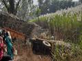 कोल्हापूर-गगनबावडा मार्गावर भामटेत उसाने भरलेली ट्रॅक्टर ट्रॉली उलटली, सुदैवाने चालक बचावला - Marathi News | A tractor trolley full of sugarcane overturned in Bhamte on the Kolhapur-Gaganbawda route | Latest kolhapur News at Lokmat.com