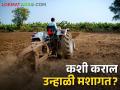 Summer Tillage उन्हाळी मशागत कशी व केव्हा करावी? - Marathi News | How and when to do summer tillage? | Latest agriculture News at Lokmat.com