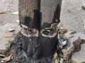 साताऱ्यात ॲसिड टाकून झाड जाळण्याचा प्रयत्न - Marathi News | Attempt to burn a tree by throwing acid in Satara | Latest satara News at Lokmat.com