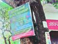 जाहिरात फलकांचा निगडीत झाडांना विळखा - Marathi News | Identify adhesive plants | Latest pimpri-chinchwad News at Lokmat.com