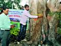 नाशिक शहरातील वृक्षसंपदा ४८ लाखांवर - Marathi News |  The trees in Nashik city amount to 48 lakhs | Latest nashik News at Lokmat.com