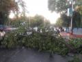 पुणे : पावसामुळे शहरात झाडे, फांद्या कोसळून वाहनांचे नुकसान - Marathi News | rain in pune city trees and branches fell in the city and vehicles were damaged | Latest pune News at Lokmat.com