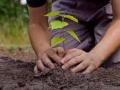 पाच झाडे लावून संगोपन केल्यास घरपट्टी माफ! - Marathi News | If you plant five trees, tax wiil be exmpted | Latest akola News at Lokmat.com