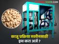 काजू प्रक्रिया मशीन घ्यायचीय, इथं मिळतंय 100 टक्के अनुदान, आताच करा अर्ज?  - Marathi News | Latest News Various schemes to farmers through Tribal Development Department | Latest agriculture News at Lokmat.com