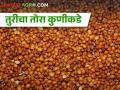 निर्यातबंदीचा परिणाम; तुरीला मिळतोय किती भाव? - Marathi News | effect of export ban in agri produce; How much market rate getting for pigeon pea | Latest agriculture News at Lokmat.com