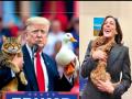 कमला हॅरिस, डोनाल्ड ट्रम्प, कुत्रे-मांजरे आणि तुम्ही-आम्ही! - Marathi News | Kamala Harris, Donald Trump, Dogs-Cats and You-Us! | Latest editorial News at Lokmat.com