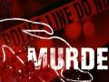 राजकीय वैमनस्यातून सख्ख्या भावाची हत्या - Marathi News | Sakhya's brother killed out of political enmity | Latest crime News at Lokmat.com