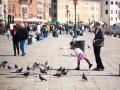येथे कबुतरांना दाणे घालण्यावर आहे बंदी - Marathi News | There is a ban on pigeon grain | Latest international Photos at Lokmat.com