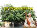 Tukaram Beej: देहूचा तो जागृत वृक्ष आणि तुकोबांचे वैकुंठगमन: आजही भाविकांना येते 'या' सकारात्मक ऊर्जेची प्रचिती! - Marathi News | Tukaram Beej: That awakened tree of the body and Tukoba's journey to Vaikuntha: Even today, devotees feel 'this' positive energy! | Latest bhakti News at Lokmat.com
