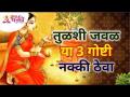 तुळशी जवळ या तीन गोष्टी नक्की ठेवा | What 3 things to besides Tulsi? | Lokmat Bhakti - Marathi News | Be sure to keep these three things close to Tulsi What 3 things besides Tulsi? | Lokmat Bhakti | Latest bhakti Videos at Lokmat.com