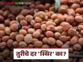 tur bajar bhav : तूर शेतकऱ्यांसाठी मोठी अपडेट; मे महिन्यात भाव कुठे जाणार? - Marathi News | latest news Tur bajar bhav: Big update for tur farmers; Where will the prices go in May? | Latest agriculture News at Lokmat.com
