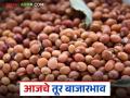 Tur bajar bhav: तूर कोणत्या बाजारात खातेय भाव; जाणून घ्या आजचे बाजारभाव सविस्तर - Marathi News | Tur bajar bhav: latest news In which market is tur being sold; Know today's market price in detail | Latest agriculture News at Lokmat.com