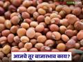 Tur Bajar Bhav : तूर बाजारात कुठे मिळाले ८ हजार पार भाव? वाचा सविस्तर - Marathi News | latest news Tur Bajar Bhav : Where did you get 8 thousand rupees in Tur Bazaar? Read in detail | Latest agriculture News at Lokmat.com