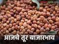 Tur Bajar Bhav : तूर बाजारात तेजीचा संकेत? अमरावतीत विक्रमी दराची नोंद वाचा सविस्तर - Marathi News | latest news Tur Bajar Bhav : A sign of a boom in the tur market? Record price recorded in Amravati. Read in detail | Latest agriculture News at Lokmat.com