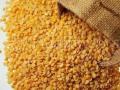 दोन दिवसात एक हजाराने वाढली तूर! दररोज हजार पोत्यांची आवक - Marathi News | Nagpur just two days the price of tur dal is one thousand | Latest nagpur News at Lokmat.com