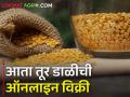 तूर डाळ विक्रीसाठी नव्या पोर्टलचे उद्घाटन, शेतकऱ्यांना फायदा काय?  - Marathi News | Latest News Amit Shah to launch procurement portal for tur dal growing farmers | Latest agriculture News at Lokmat.com