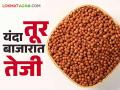 Tur Bajar Bhav : तुरीसाठी दुधनी बाजार फेमस मिळतोय सर्वाधिक भाव वाचा सविस्तर - Marathi News | Tur Bajar Bhav : Dudhani market famous for pigeon pea getting the highest price | Latest agriculture News at Lokmat.com