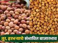 Tur, Harbhara Market : आगामी काळात तूर, हरभरा पिकांना काय बाजारभाव मिळतील? जाणून घ्या सविस्तर  - Marathi News | Latest News Tur, Harbhara Market What will be market prices of Tur, Harbhara crops in future Know in detail  | Latest agriculture News at Lokmat.com