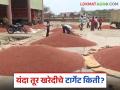 Tur Kharedi : यंदा तूर खरेदी केंद्राकडे पाठ फिरवण्याचे काय आहे कारण जाणून घ्या सविस्तर - Marathi News | Tur Kharedi: Know the reason behind turning away from Tur purchasing center this year in detail | Latest agriculture News at Lokmat.com