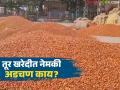 Tur Kharedi : हमीभाव जाहीर, तरी केंद्रांवर आवक कमी; तूर खरेदीत अडथळा कुठे? वाचा सविस्तर - Marathi News | latest news Tur Kharedi: Guaranteed price announced, but arrivals at centers are low; Where is the obstacle in purchasing tur? Read in detail | Latest agriculture News at Lokmat.com