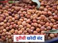 Tur kharedi: तुरीची खरेदी बंद; जाणून घ्या काय आहे कारण - Marathi News | | Latest agriculture News at Lokmat.com