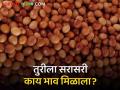 Tur Bajarbhav : अमरावती बाजारात लाल तुरीला काय भाव मिळाला? वाचा आजचे बाजारभाव - Marathi News | Latest News Todays tur bajarbhav in amravati market yard check here market details | Latest agriculture News at Lokmat.com