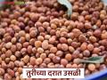 Tur Market : नव्या वर्षाची सुरुवातच भाववाढीने; तूर हमीभाव गाठणार? वाचा सविस्तर - Marathi News | latest news Tur Market: The new year begins with a price hike; Will Tur reach the guaranteed price? Read in detail | Latest agriculture News at Lokmat.com