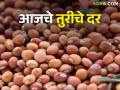 'या' बाजार समितीत तुरीला सर्वाधिक बाजारभाव मिळाला, जाणून घ्या आजचे बाजारभाव  - Marathi News | Latest News 24 Feb Todays Tur Market Price in maharashtra bajar samiti | Latest agriculture News at Lokmat.com