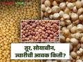 Tur, soyabean Market : तूर वरचढ, ज्वारी, सोयाबीनला काय भाव मिळाला? वाचा आजचे बाजारभाव - Marathi News | Latest news Tur, Sorghum, Soyabean market price in maharashtra Read today's market prices | Latest agriculture News at Lokmat.com