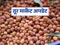 Tur Market: तूर उत्पादकांना आता हमीदराची प्रतीक्षा; सध्या बाजारात कसा मिळतोय दर ते वाचा सविस्तर - Marathi News | Tur Market: Tur growers are now waiting for the guaranteed price; Read in detail how the price is currently being obtained in the market | Latest agriculture News at Lokmat.com