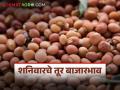 Tur Bajarbhav : तूर बाजारात तेजी की मंदी? जाणून घ्या बाजाराची स्थिती - Marathi News | latest news Tur Bajarbhav: Is the Tur market booming or slowing down? Know the market situation | Latest agriculture News at Lokmat.com