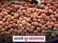 Tur bajar bhav : राज्यात तुरीची मोठी आवक; जाणून घ्या बाजारभाव सविस्तर - Marathi News | latest news Tur bajar bhav: Huge arrival of Tur in the state; Know the market price in detail | Latest agriculture News at Lokmat.com