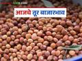 Tur bajar bhav : तुरीच्या आवकेत चढ-उतार! आज कोणत्या बाजारात सर्वाधिक भाव? वाचा सविस्तर - Marathi News | latest news Tur bajar bhav: Fluctuations in the arrival of tur! In which market the price is highest today? Read in detail | Latest agriculture News at Lokmat.com