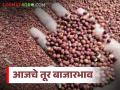 Tur Bajar Bhav : लाल तुरीला जोरदार मागणी; जालन्यात पांढरी तूर पोहोचली 'इतक्या' हजारांवर वाचा सविस्तर - Marathi News | latest news Tur Bajar Bhav : Strong demand for red tur; White tur reaches 'so many' thousands in Jalna Read in detail | Latest agriculture News at Lokmat.com