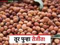 Tur Market Update : तूर बाजारात अचानक ट्विस्ट; दरात पुन्हा तेजी येणार का? वाचा सविस्तर - Marathi News | latest news Tur Market Update: Sudden twist in the Tur market; Will the price rise again? Read in detail | Latest agriculture News at Lokmat.com