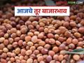 Tur Bajar Bhav : राज्यात तुरीच्या अवकेत चढ-उतार; कुठे किती मिळाले दर? जाणून घ्या सविस्तर - Marathi News | latest news Tur Bajar Bhav : Tur Arrivals fluctuates in the state; Where and how much did you get the price? Know in detail | Latest agriculture News at Lokmat.com