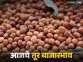 Tur bajar bhav: बाजार समितीत तुरीची मोठी आवक; मात्र दर स्थिर वाचा सविस्तर - Marathi News | latest news Tur bajar bhav: Large arrival of tur in the market committee; but prices remain stable Read in detail | Latest agriculture News at Lokmat.com