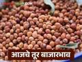 Tur Bajar Bhav : पैठणमध्ये तूर दर स्थिर, बुलढाण्यात कसा मिळाला दर वाचा सविस्तर - Marathi News | latest news Tur Bajar Bhav: Tur price stable in Paithan, read in detail how the price was obtained in Buldhana | Latest agriculture News at Lokmat.com