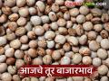 Tur Bajar Bhav : राज्यातील बाजारपेठेत तुरीची आवक घटली; दरात चढ-उतार वाचा सविस्तर - Marathi News | latest news Tur Bajar Bhav: Tur arrivals in the state market have decreased; Read the price fluctuations in detail | Latest agriculture News at Lokmat.com