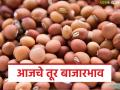 Tur Bajarbhav : तूर बाजारात मोठे चढ-उतार; 'या' बाजारात ८ हजारांचा टप्पा पार - Marathi News | latest news Tur Bajarbhav: Big ups and downs in the tur market; 'Ya' market crosses the 8 thousand mark | Latest agriculture News at Lokmat.com