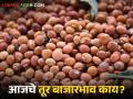 Tur bajar bhav : लाल तूर खातेय भाव; अकोला बाजारात गाठला सर्वाधिक दर वाचा सविस्तर - Marathi News | latest news Tur bajar bhav: Red tur is the highest price; Akola market has reached the highest price. Read in detail | Latest agriculture News at Lokmat.com