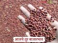 Tur Bajar Bhav : राज्यातील तूर बाजारभाव : काही ठिकाणी भाव घटले, तर पांढरी तूर वधारली - Marathi News | latest news Tur Bajar Bhav: Tur market prices in the state; Prices have decreased in some places, while white tur has skyrocketed | Latest agriculture News at Lokmat.com