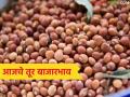 Tur Bajarbhav : लाल तुरीला जोरदार मागणी; 'या' बाजारात भाव ८५०० पार! - Marathi News | latest news Tur Bajarbhav: Strong demand for red turi; Price crosses 8500 in 'Ya' market! | Latest agriculture News at Lokmat.com